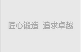 尊龙凯时官网济南效劳处2009年7月28日建立